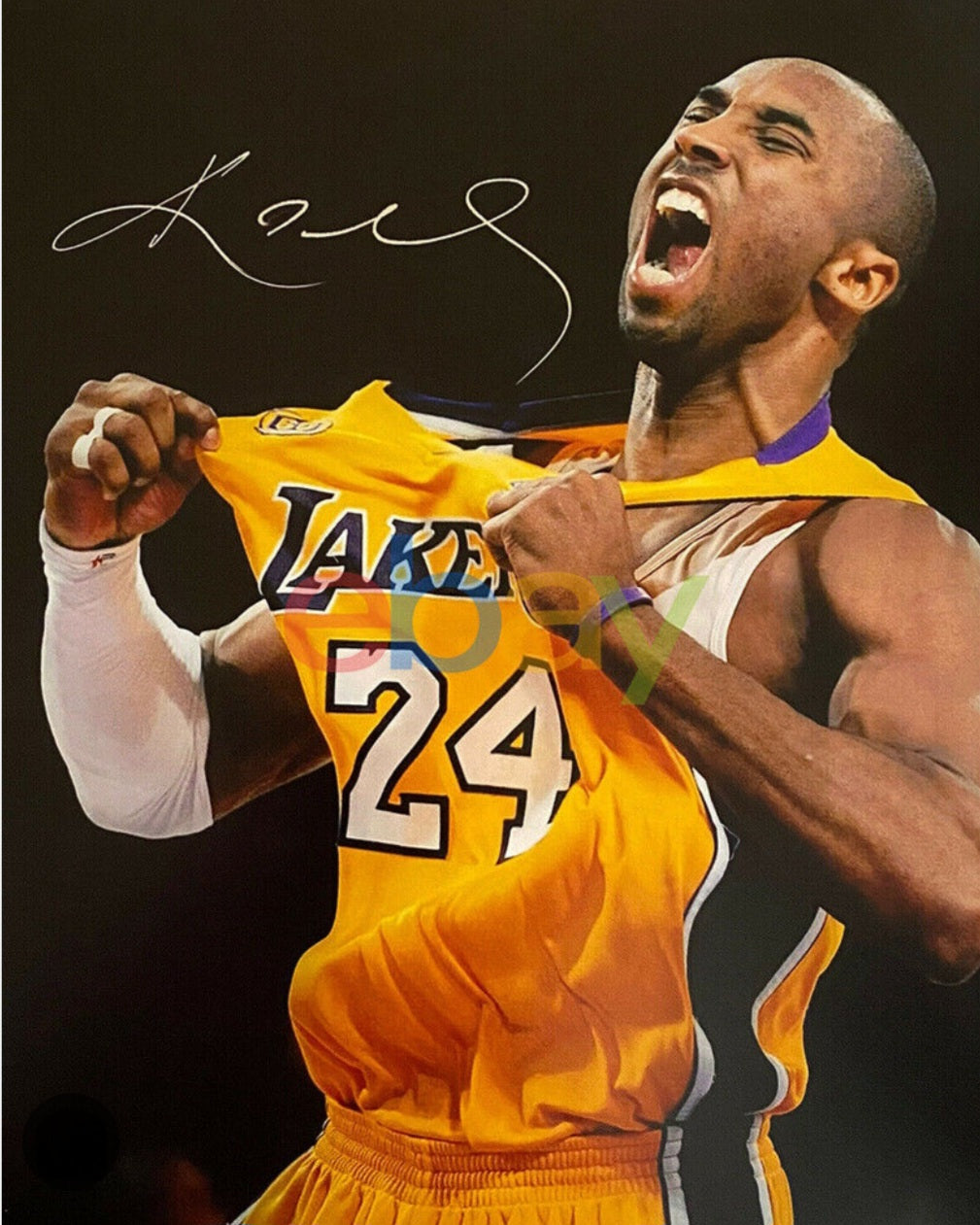 Kobe Bryant signed photo celebration silver marker