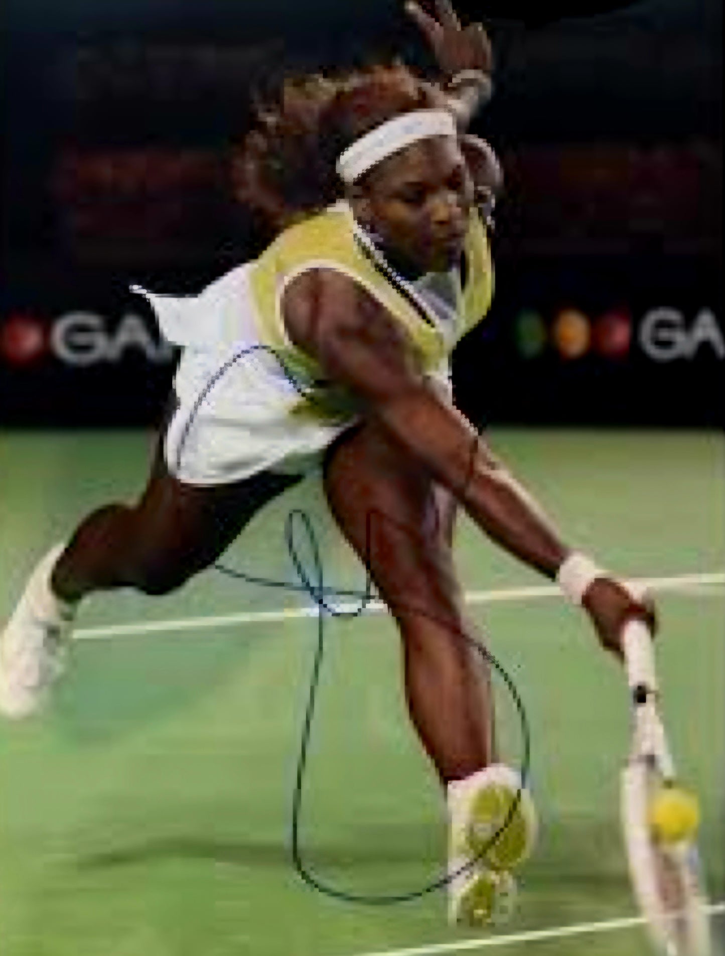 Serena Williams signed photo titled in action by Boston memorabilia