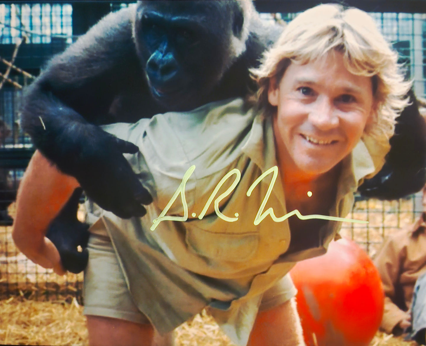 STEVE IRWIN SIGNED PHOTO GORILLA COA Hologram