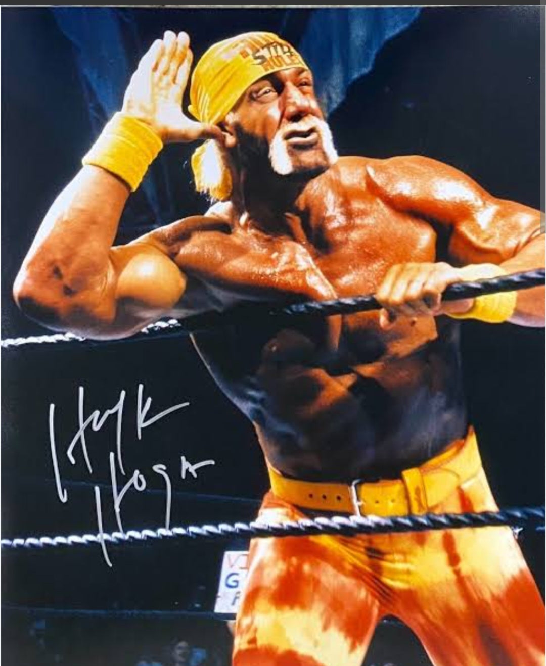 HULK HOGAN Signed Autographed Photo COA Hologram