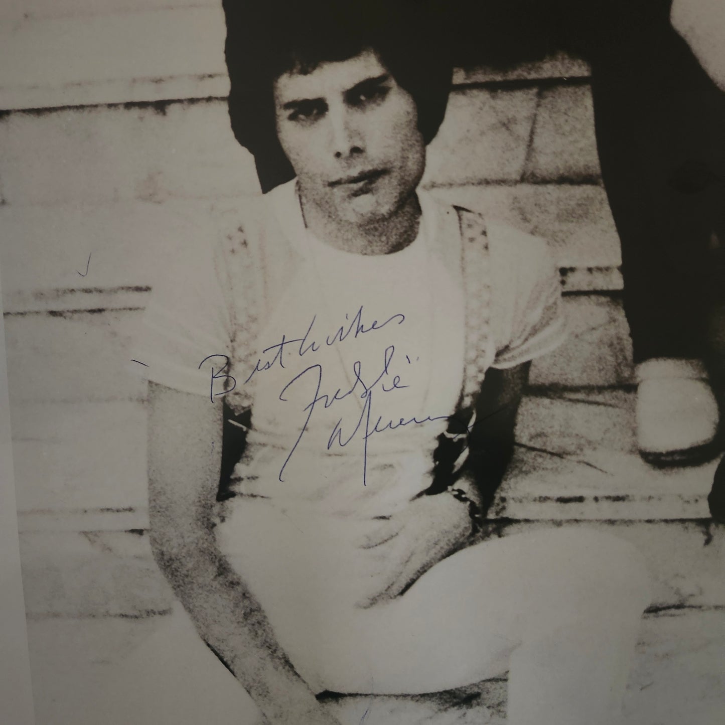 FREDDIE MERCURY Signed Poster COA Hologram