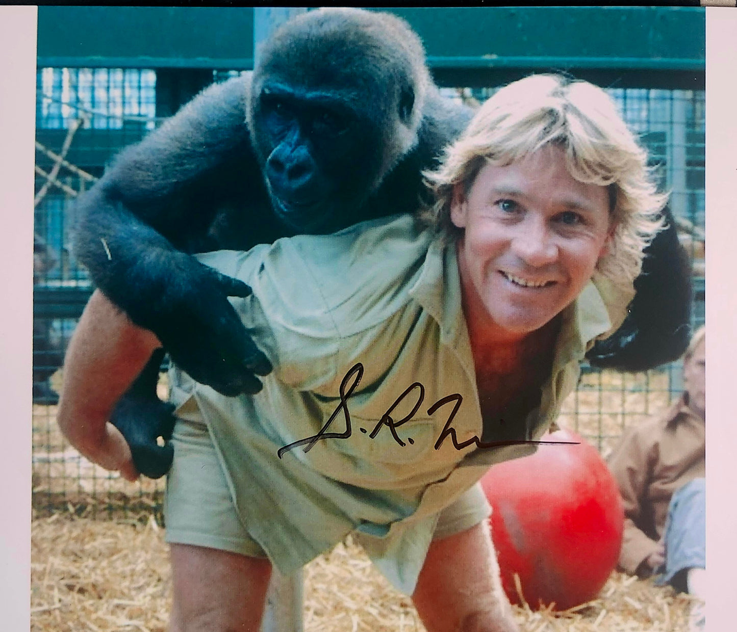 STEVE IRWIN signed autographed photo COA Hologram