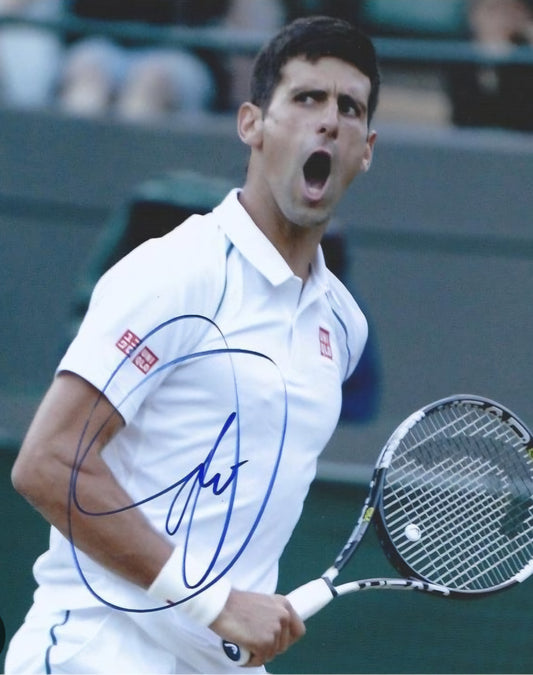 Novak djokovic signed photo funny face Boston memorabilia