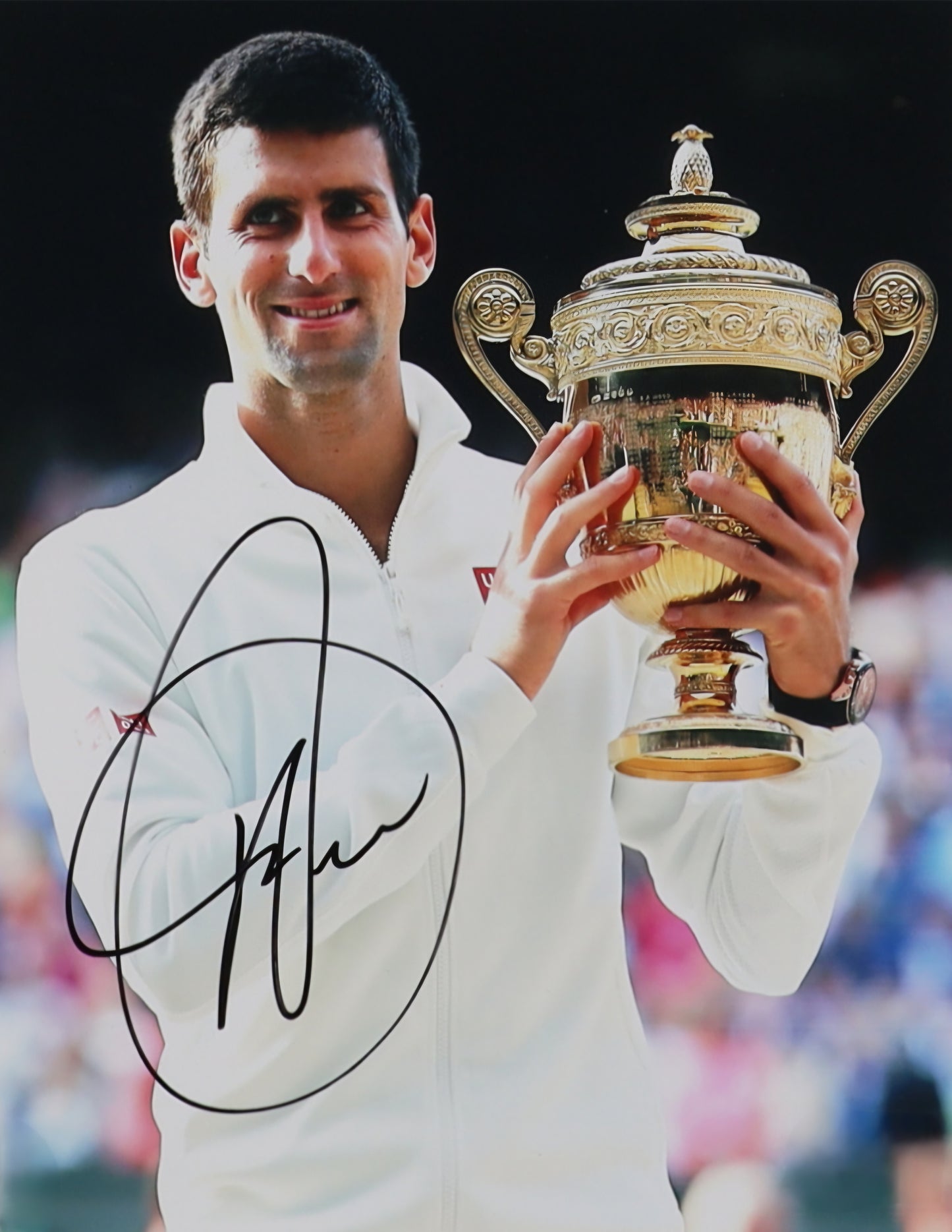 Novak djokovic signed photo the winner trophy Boston memorabilia