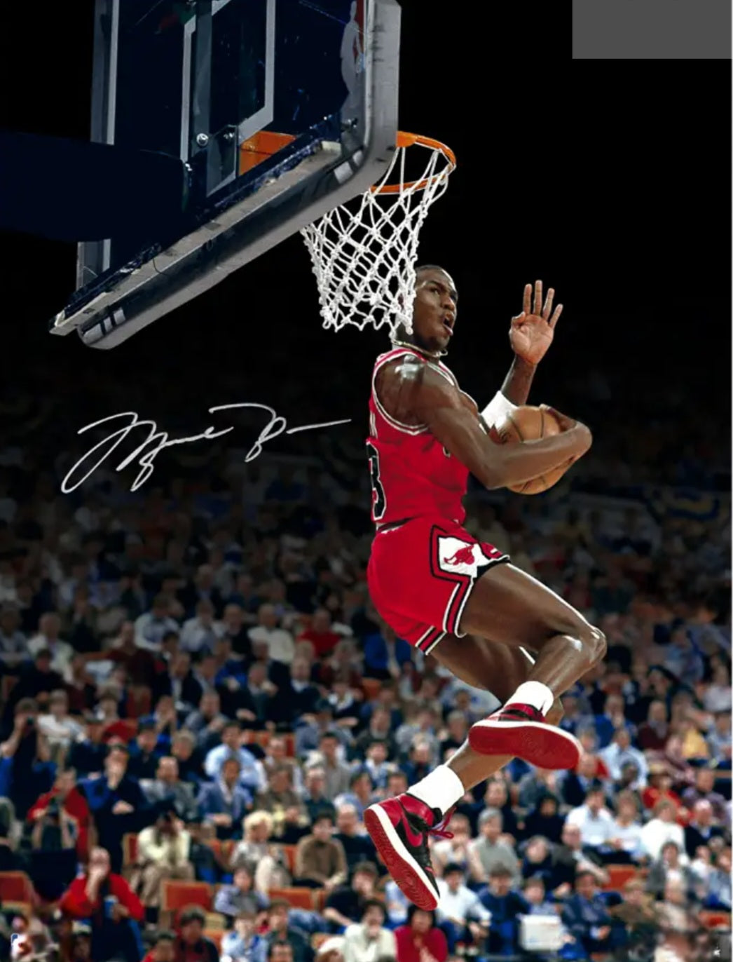 Michael Jordan signed photo titled 360 dunk by Boston memorabilia