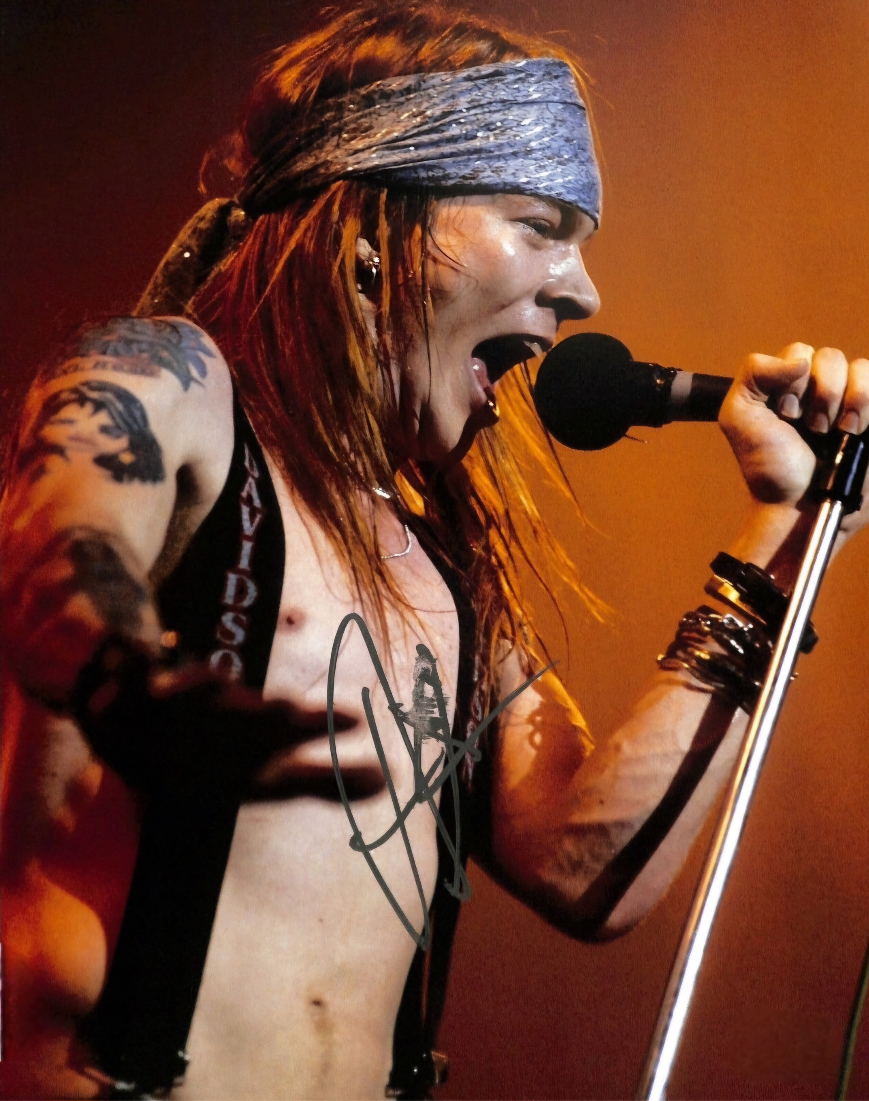 Axl Rose Rings View full details
