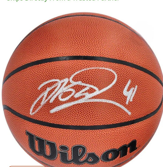 Dirk Nowitzki signed silver Sharpie basketball Wilson