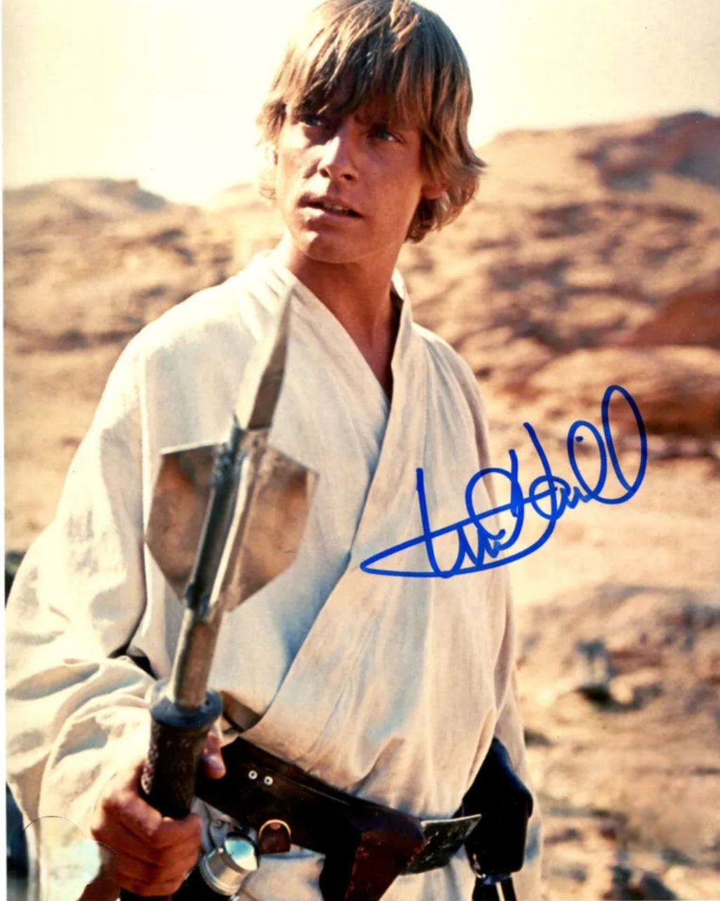 Mark Hamill Star Wars action signed photo