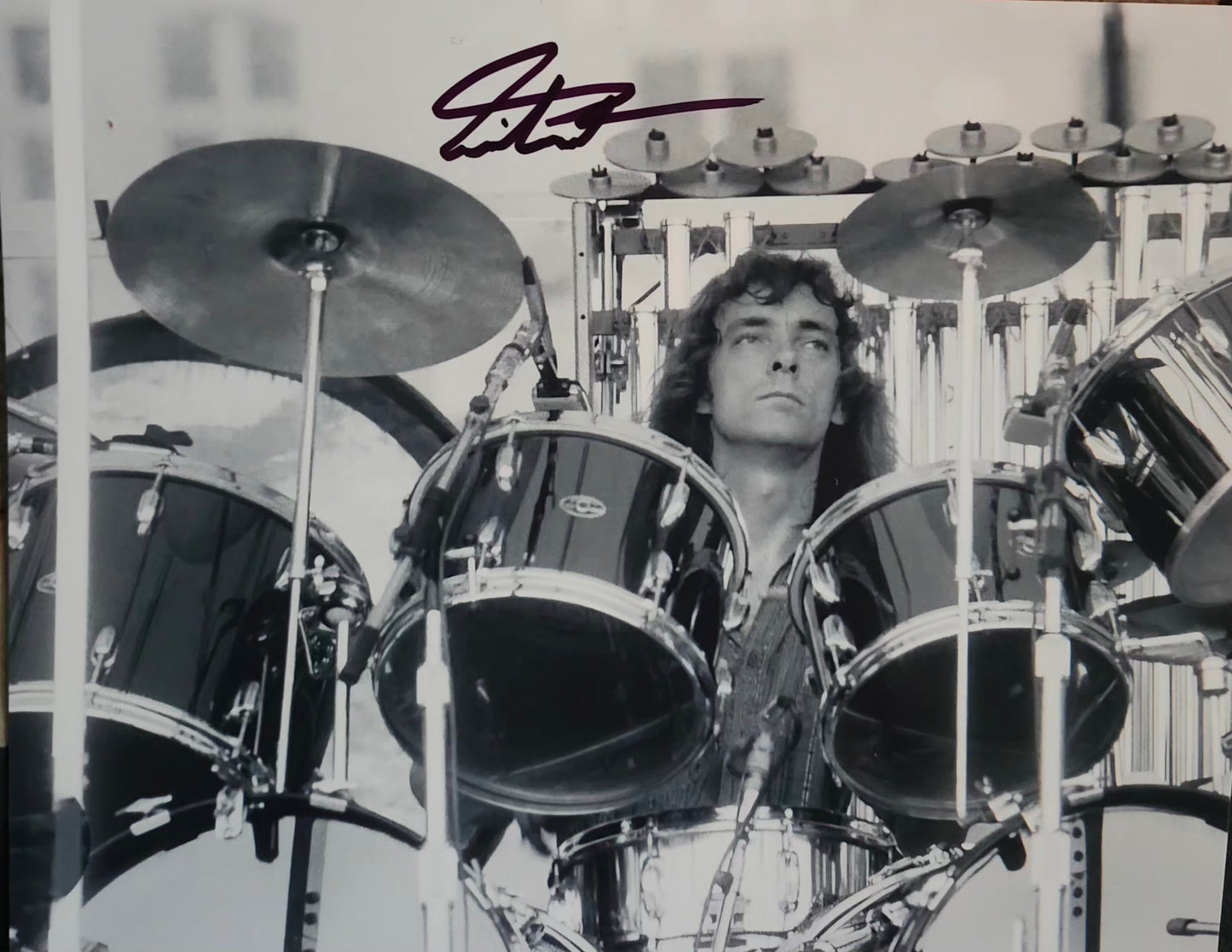 Neil Peart signed photo playing the drums black and white