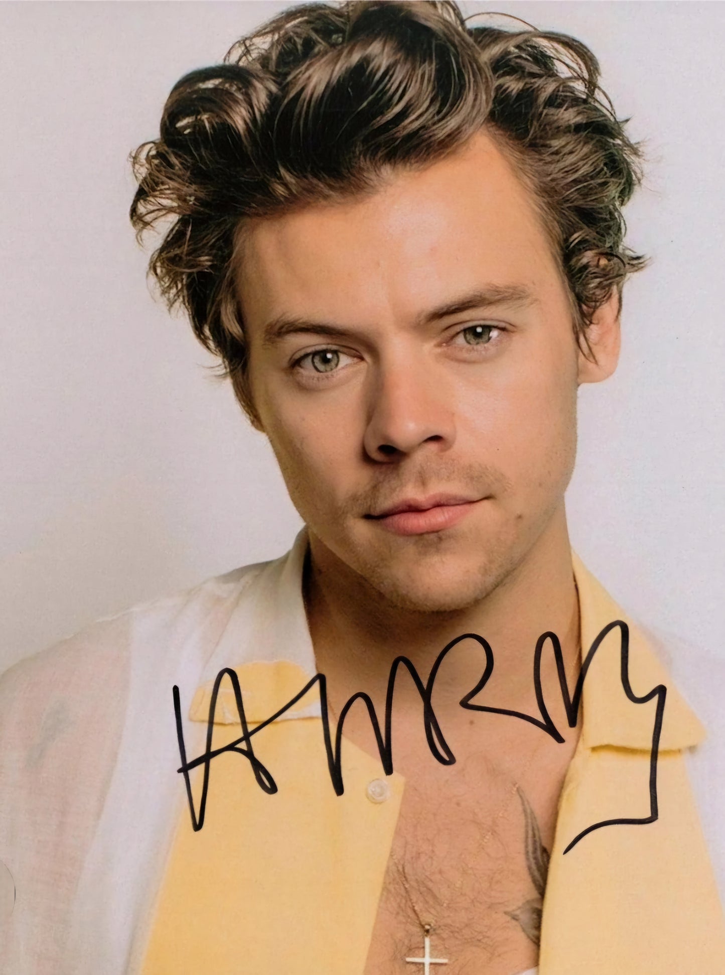 HARRY STYLES Signed Autographed Photo Selfie Harry from COA hologram