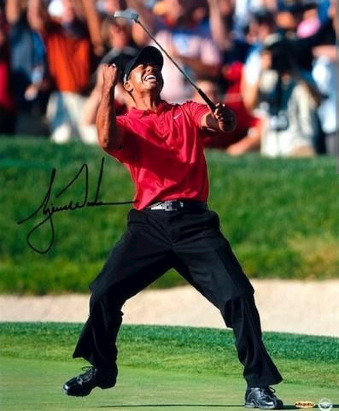 TIGER WOODS Signed Autographed Photo victory COA Hologram