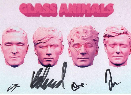 THE GLASS ANIMALS Band Signed Photo