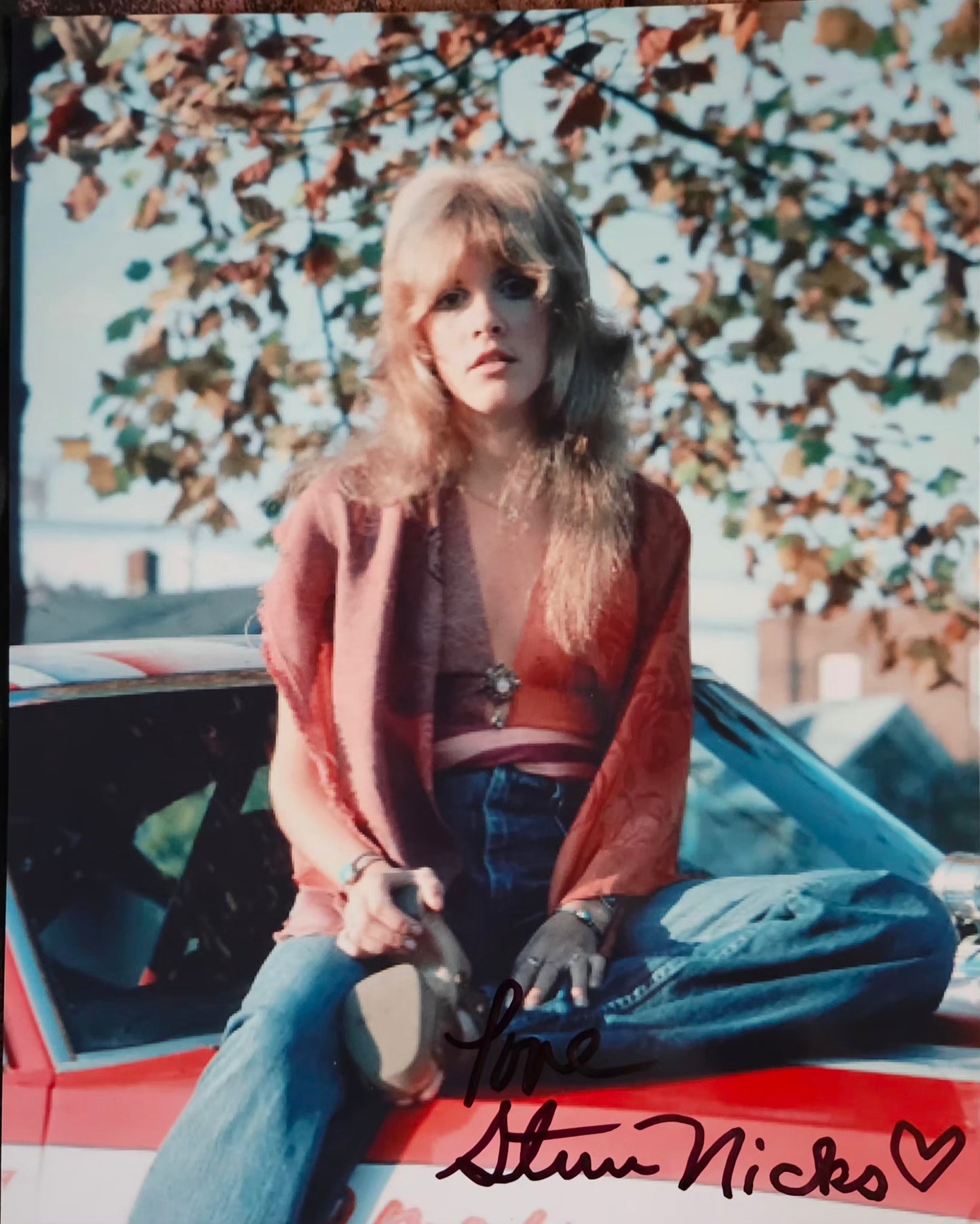 Stevie Nicks autographed photo car hood
