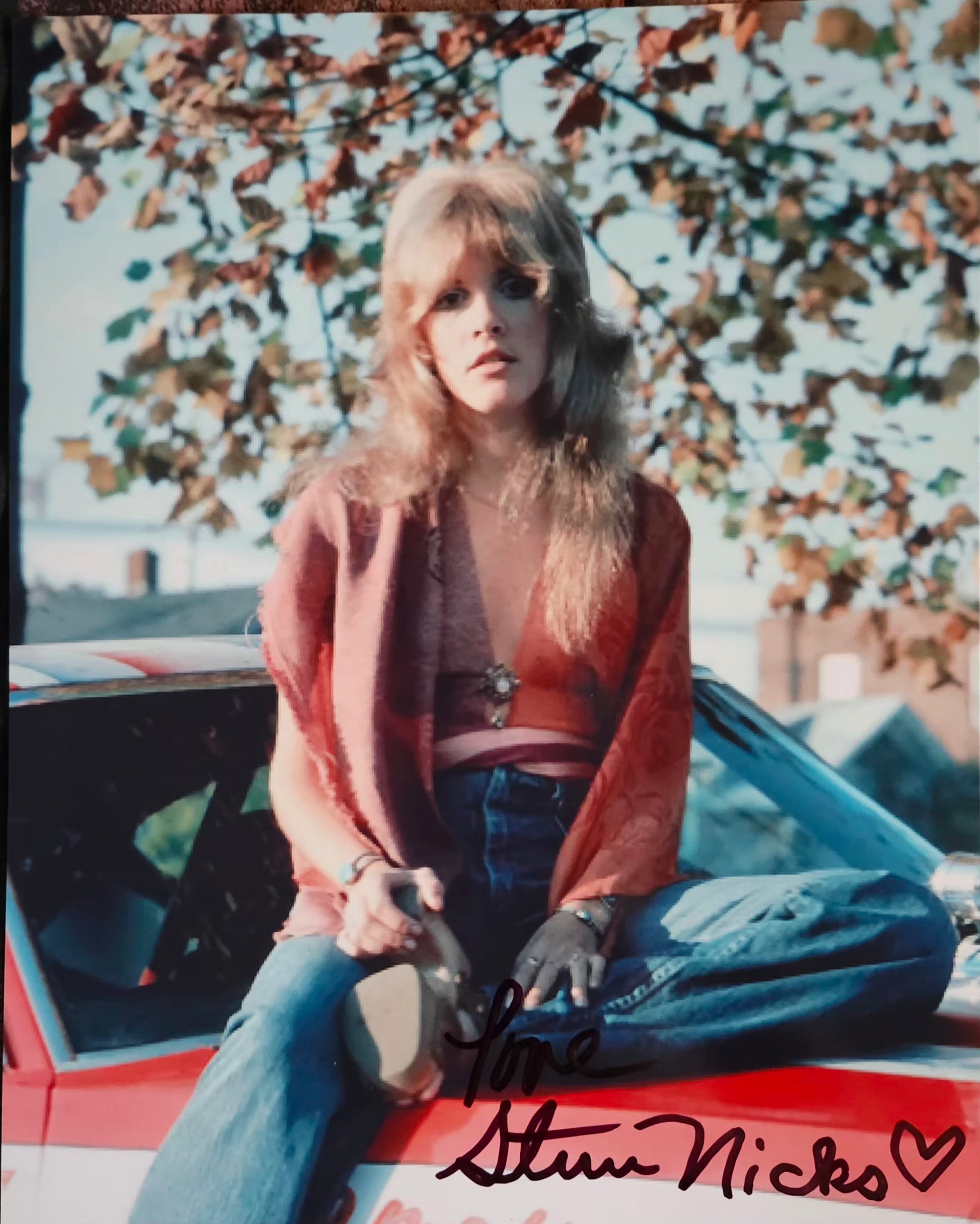Stevie Nicks autographed photo car hood