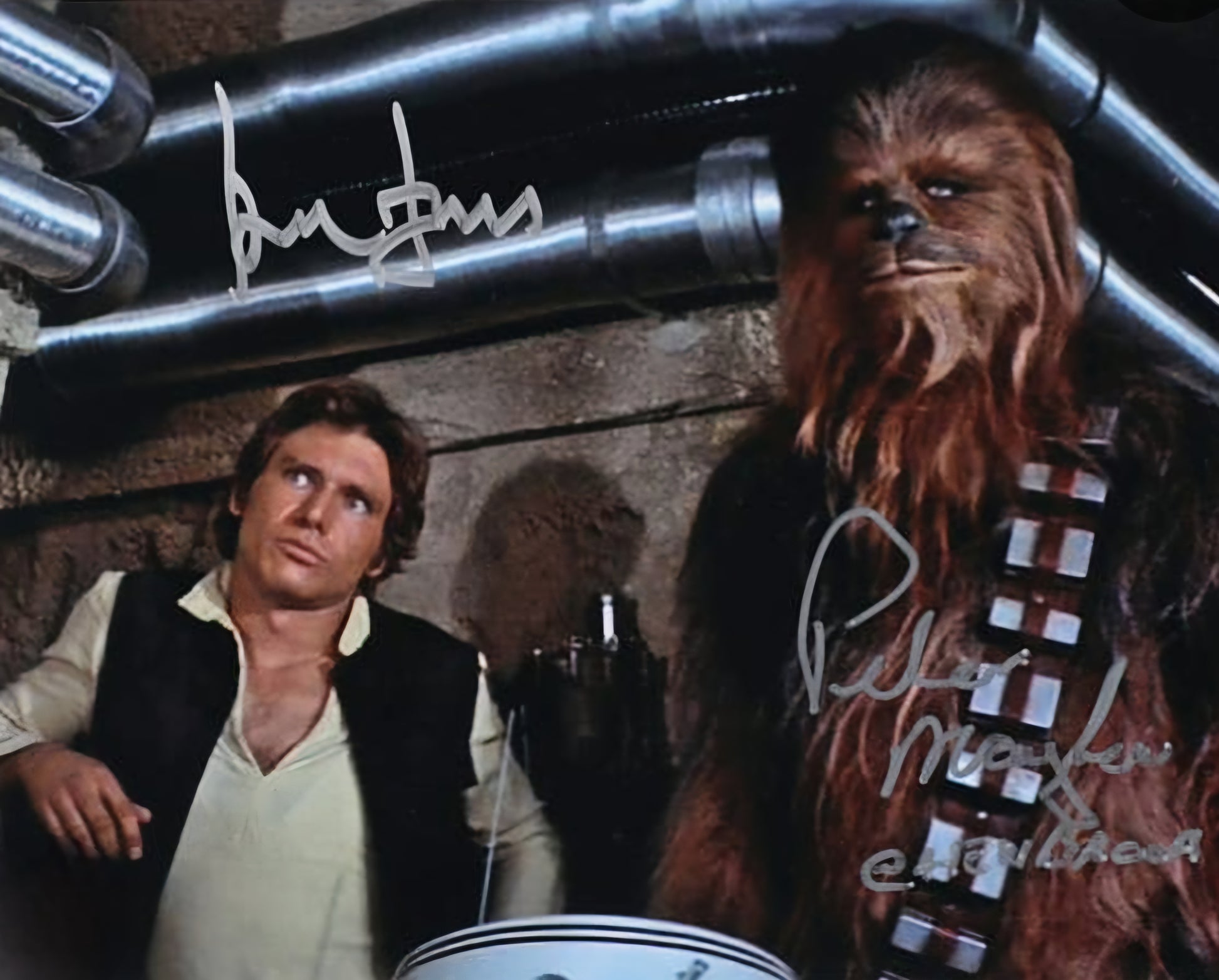 Harrison Ford Peter mayhem signed photo star wars Boston Memorabilia 