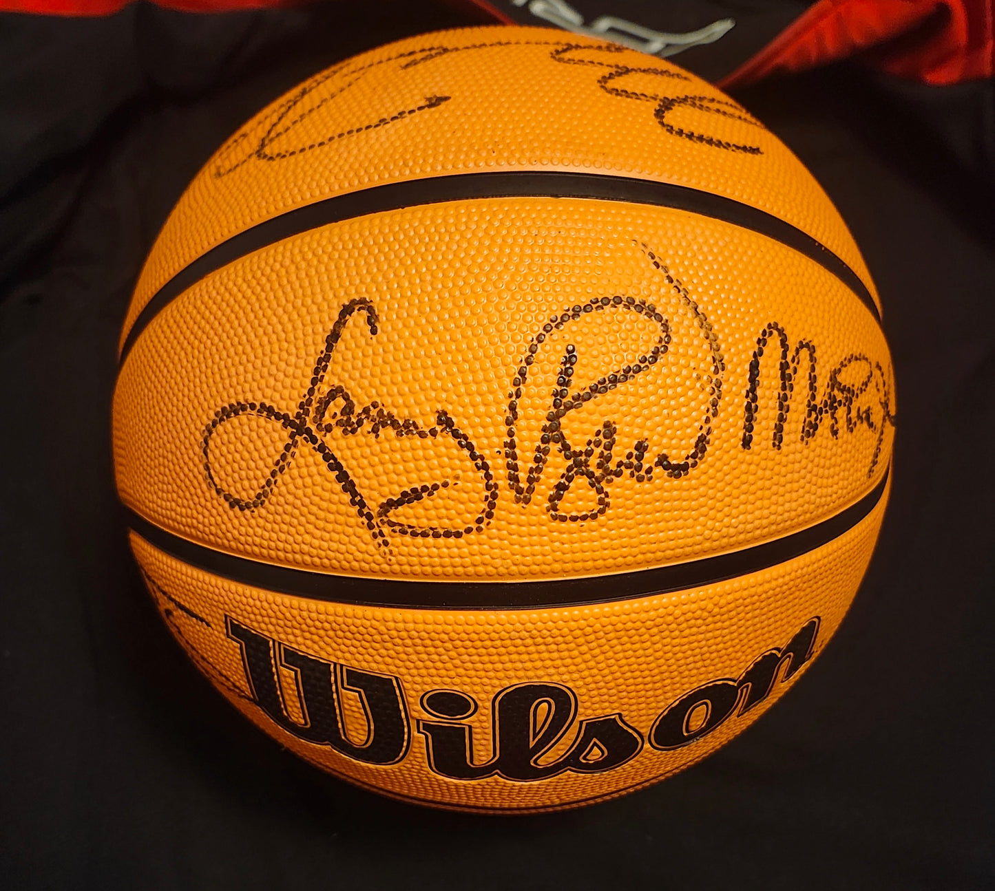 MICHAEL JORDAN AND NBA LEGENDS Signed Basketball COA Hologram