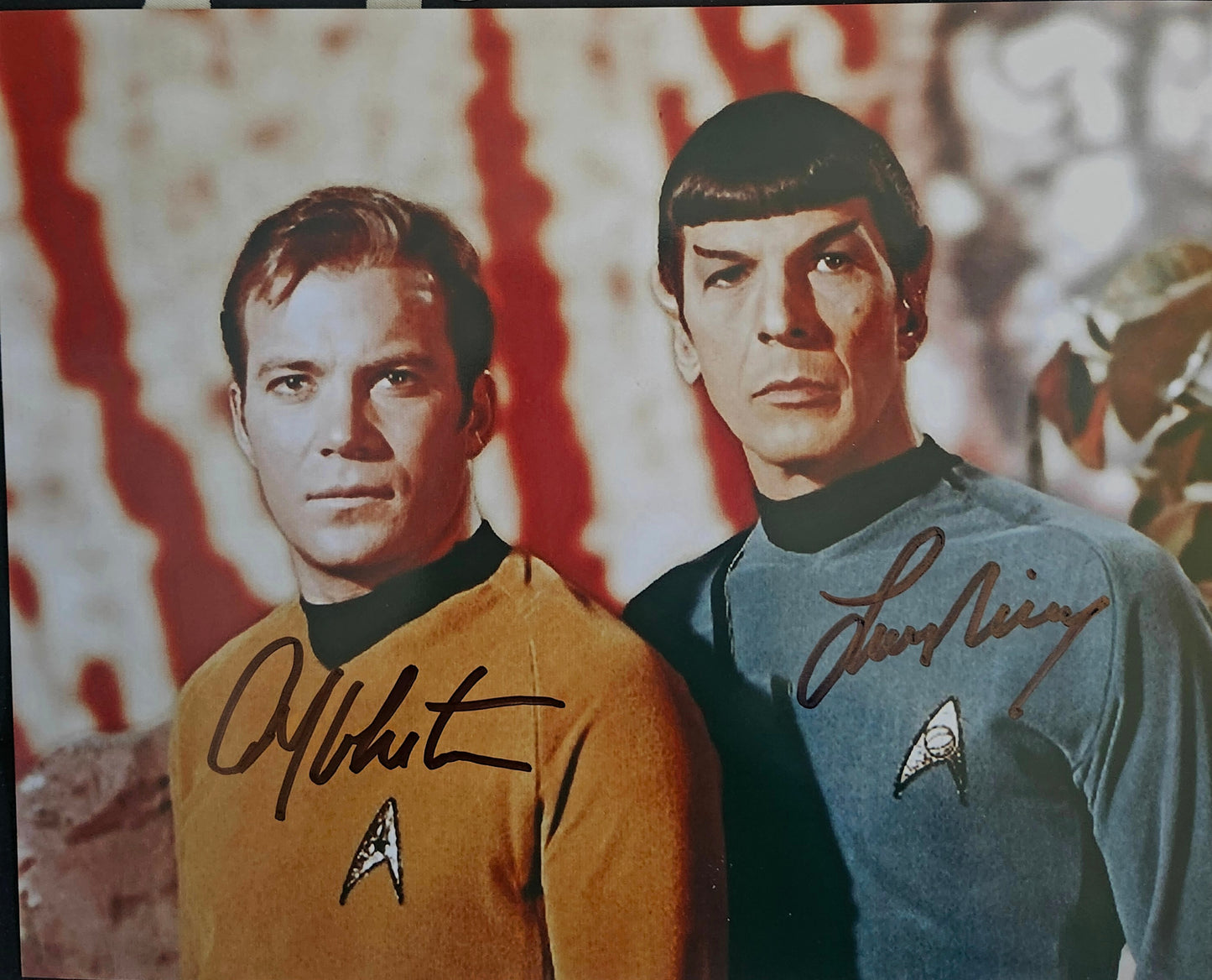WILLIAM SHATNER LEONARD NIMOY star trek signed photo COA Hologram