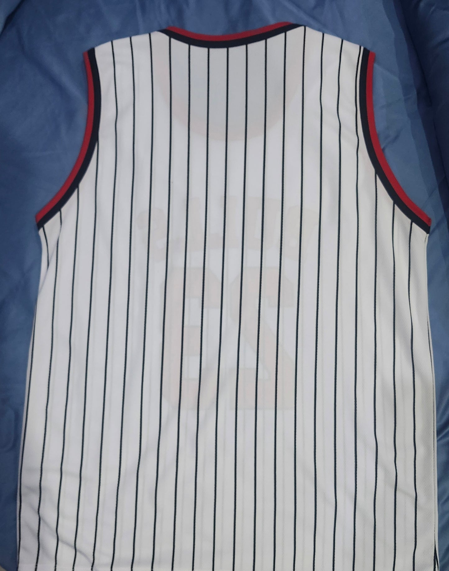 MICHAEL JORDAN Signed Bulls Jersey COA Hologram