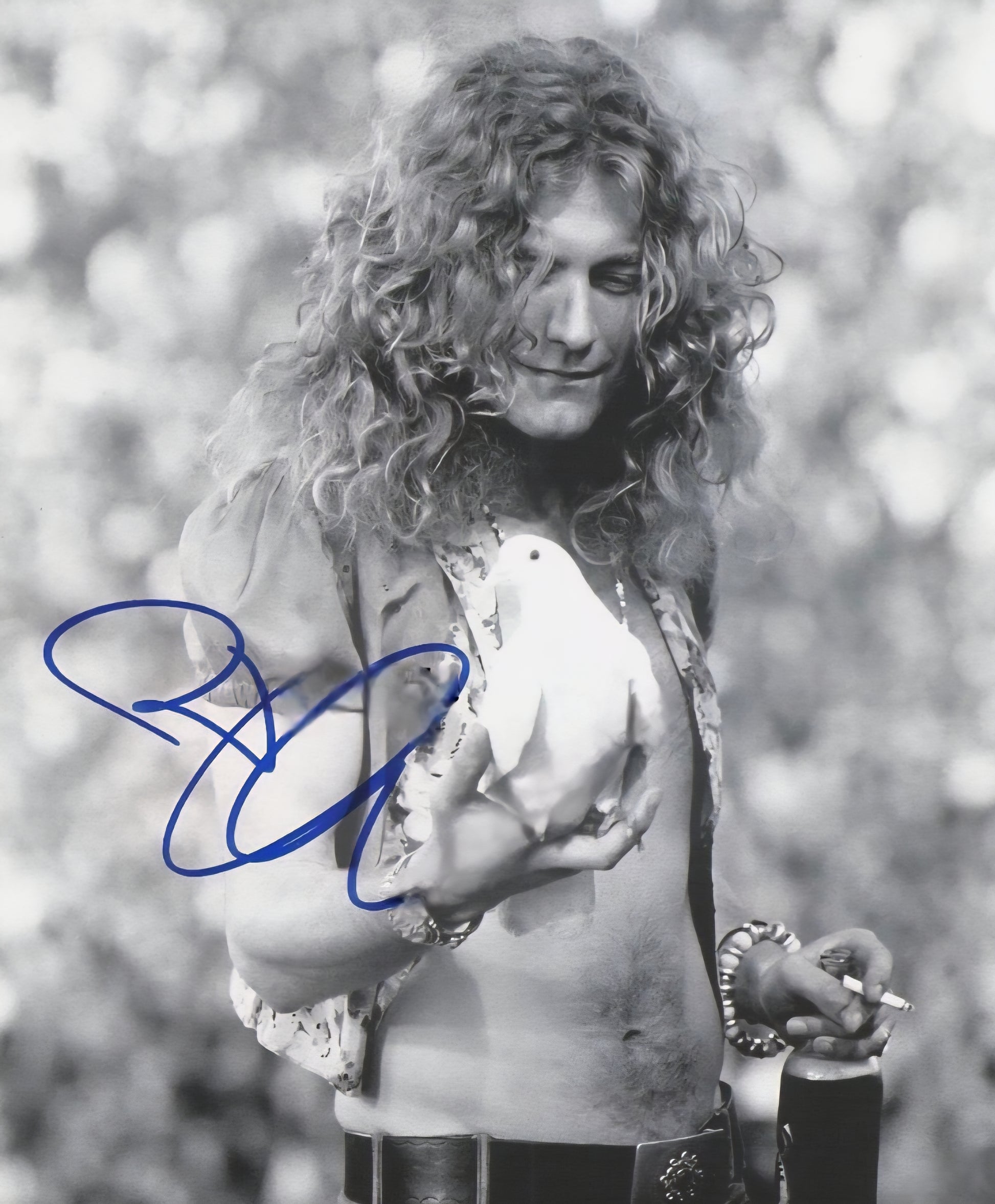 Robert Plant signed photo black and white in blue marker Boston memorabilia