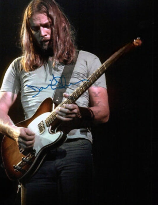 David Gilmour sign photo titled guitar Days by Boston memorabilia