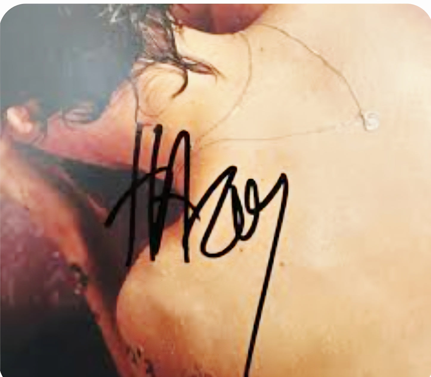 HARRY STYLES Signed Autographed Album COA Hologram