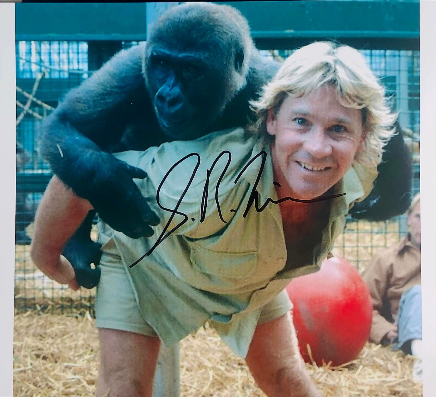STEVE IRWIN signed autographed photo COA Hologram