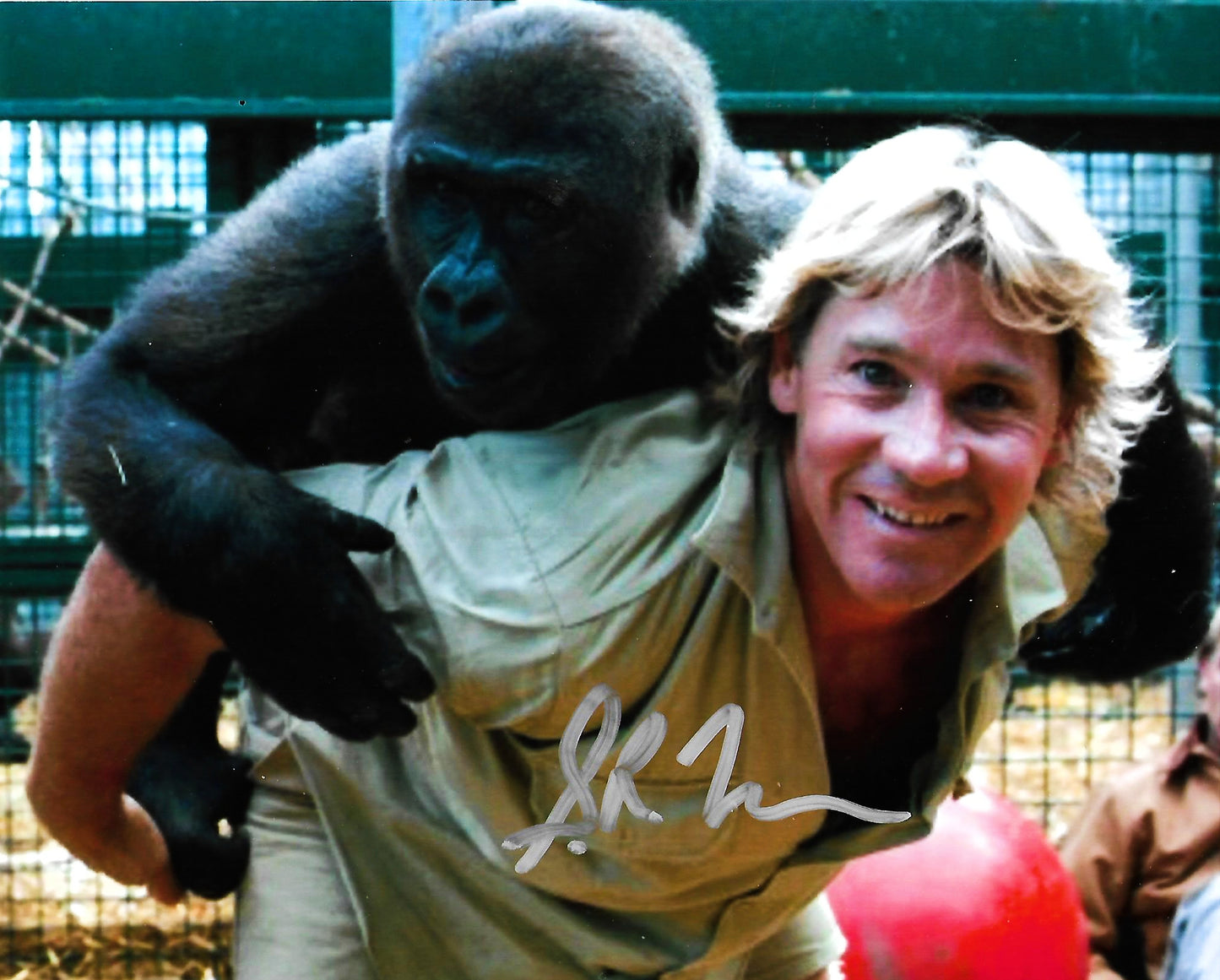 STEVE IRWIN signed autographed photo COA Hologram Beckett Autographs